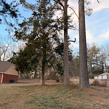 Safe-Again-Storm-Debris-Cleanup-In-Oxford-MS 16